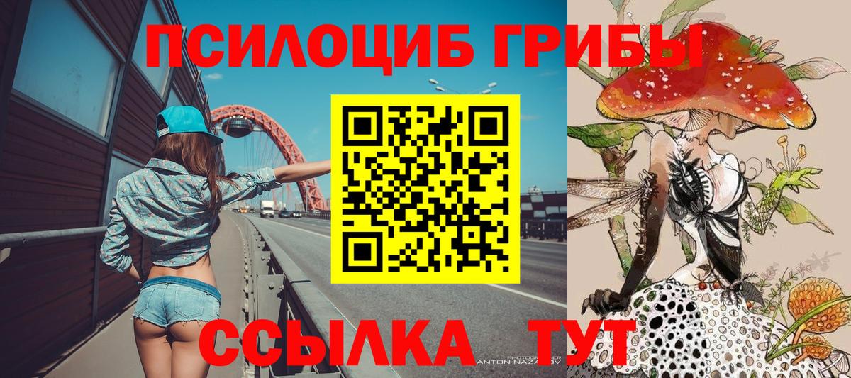 Галлюциногенные грибы Psilocybe  Вход с VPN  Шебекино 
