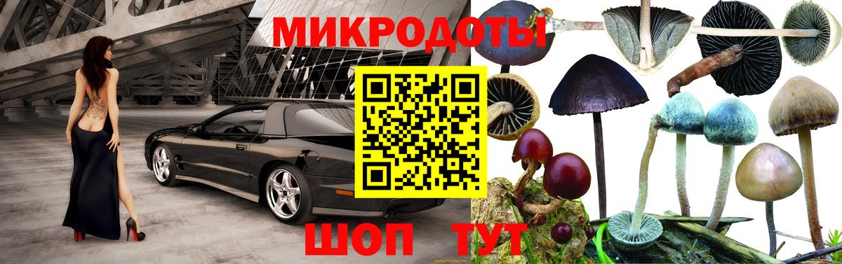 Амфетамин Шебекино